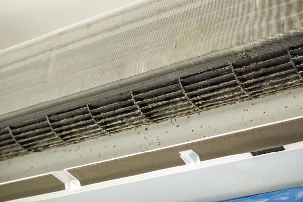 Best Air Duct Cleaning Near Me  in Middleton, WI